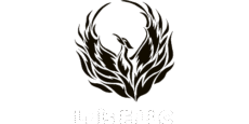 Luis F LLC